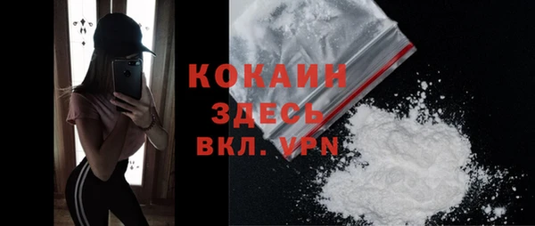 mdpv Дмитриев