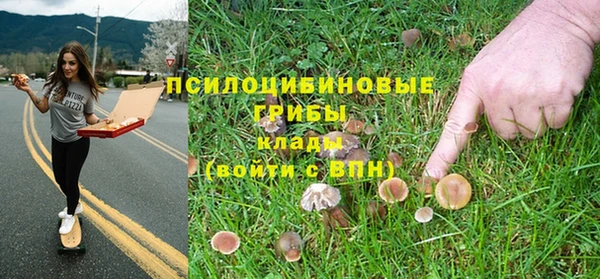 мяу мяу кристалл Дмитров