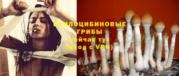 mdpv Дмитриев