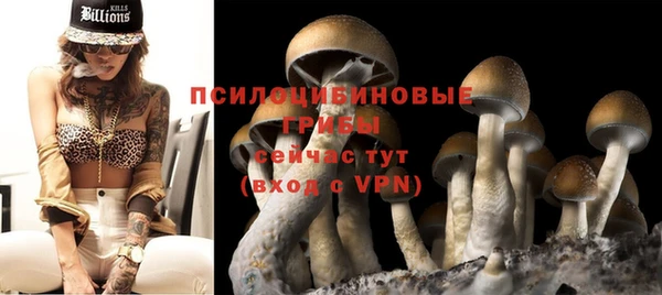 мяу мяу кристалл Дмитров